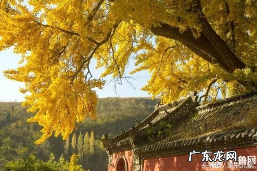 临沂沂河馨苑 沂源风水宝地