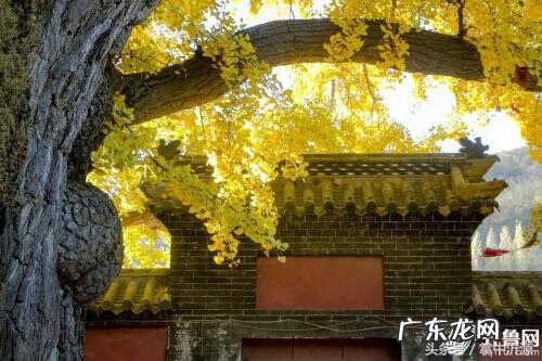 临沂沂河馨苑 沂源风水宝地