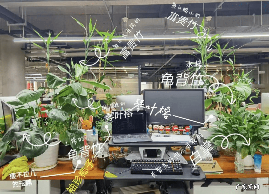 找到好工作的风水妙招 快速找到工作的风水