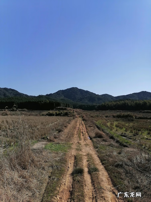 平度风水先生 这有山风水局