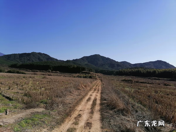 平度风水先生 这有山风水局