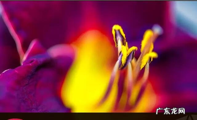 全网最大的辅助网 AZ辅助网