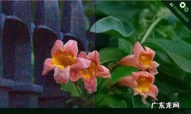 全网最大的辅助网 AZ辅助网