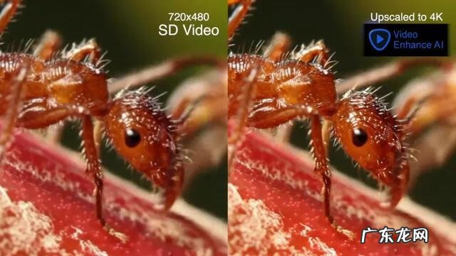 全网最大的辅助网 AZ辅助网