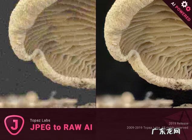 全网最大的辅助网 AZ辅助网