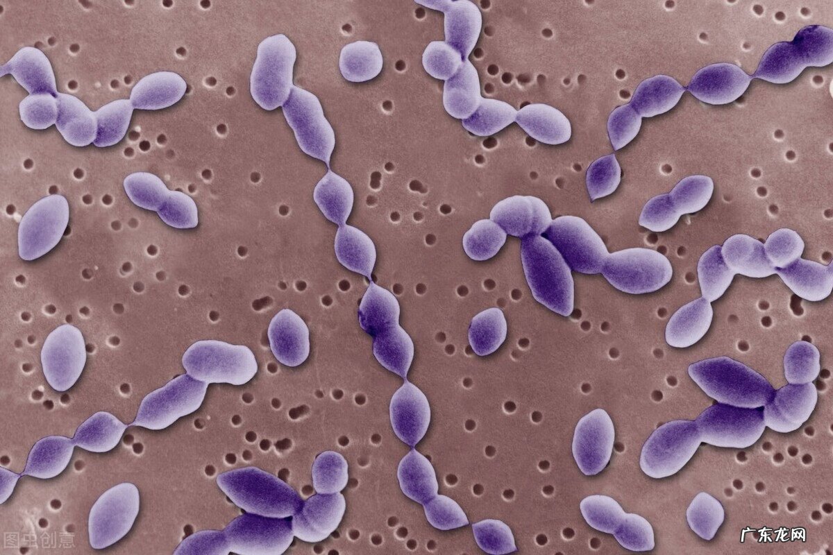 环丙沙星栓的作用与用途 环丙沙星栓的作用