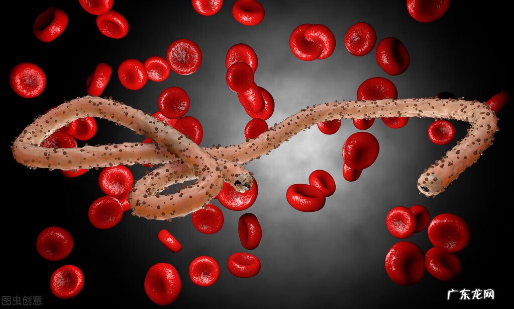 环丙沙星栓的作用与用途 环丙沙星栓的作用