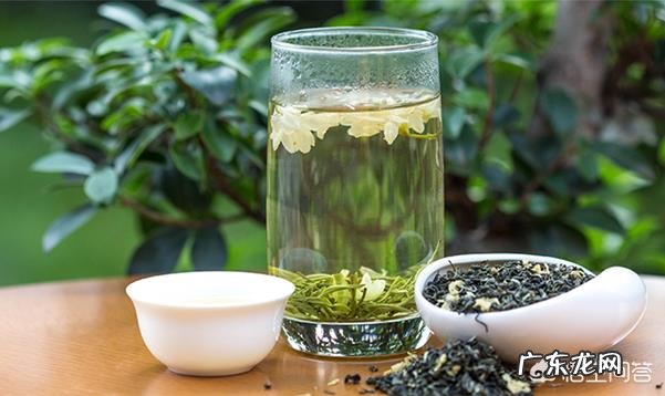 我国哪里种植的茉莉花茶比较好?