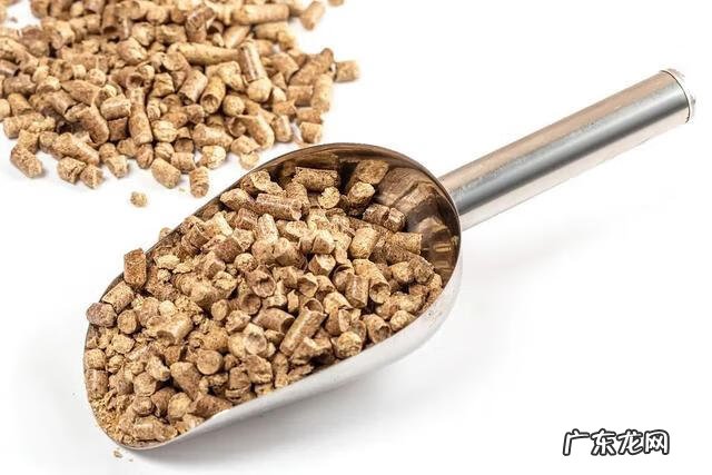 密室逃生1 密室1998