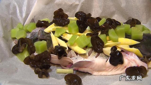 气泡鱼有毒吗 气泡鱼是什么鱼