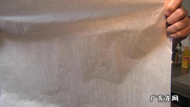 气泡鱼有毒吗 气泡鱼是什么鱼