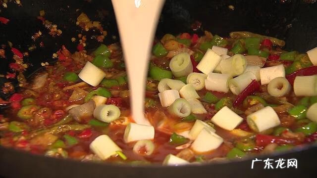 气泡鱼有毒吗 气泡鱼是什么鱼