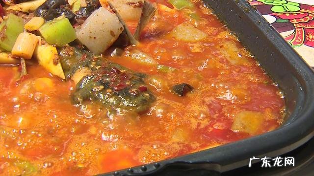 气泡鱼有毒吗 气泡鱼是什么鱼