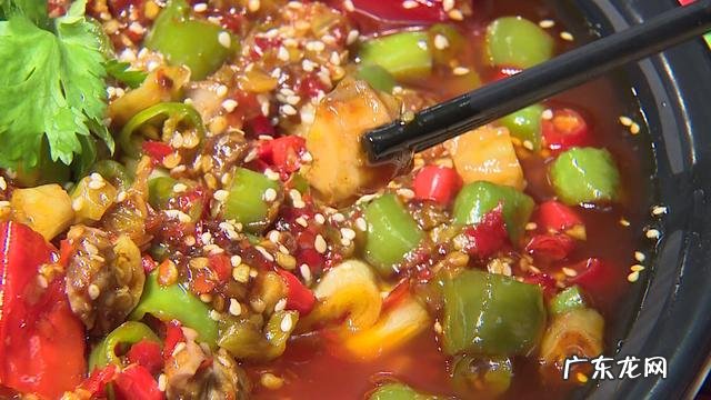 气泡鱼有毒吗 气泡鱼是什么鱼