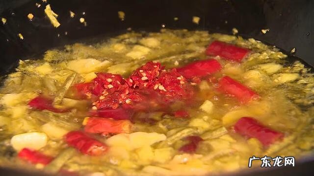 气泡鱼有毒吗 气泡鱼是什么鱼