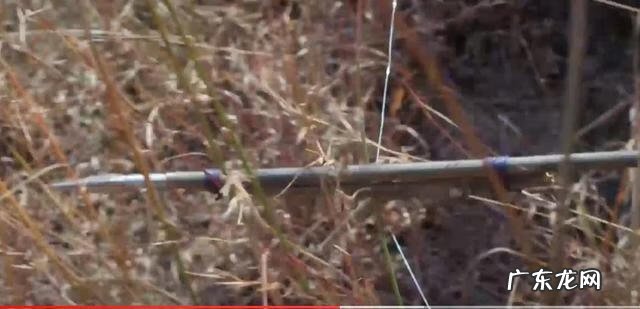 影之刃哪个版本好玩 猎刃怎么样