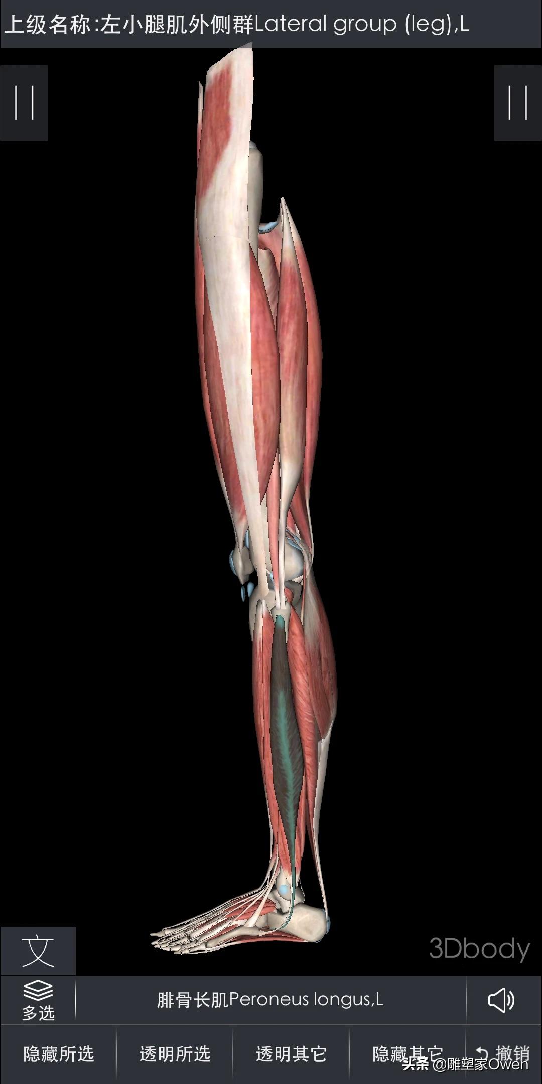 怎样才能瘦小腿肚子?