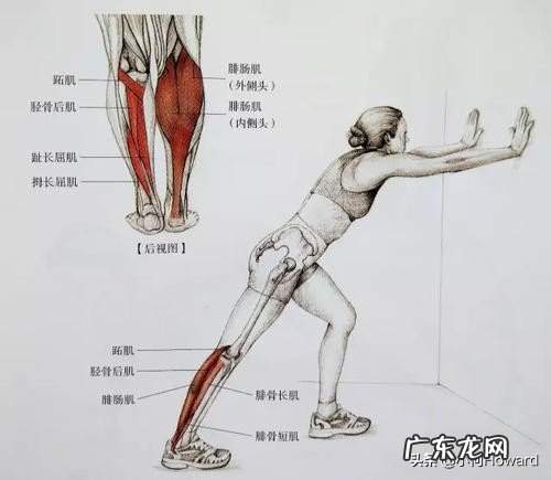 怎样才能瘦小腿肚子?