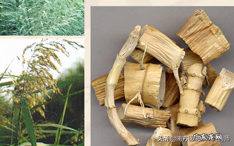 什么咳嗽药比较好 什么咳嗽药好用