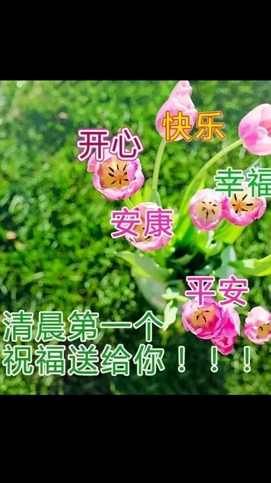 当前社会环境下,你最想解决的是什么问题?