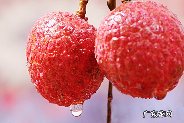 哪些水果是上火的?