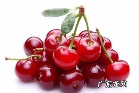 哪些水果是上火的?