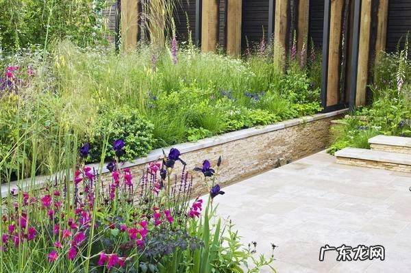 windy单词怎么读 cloudy bay