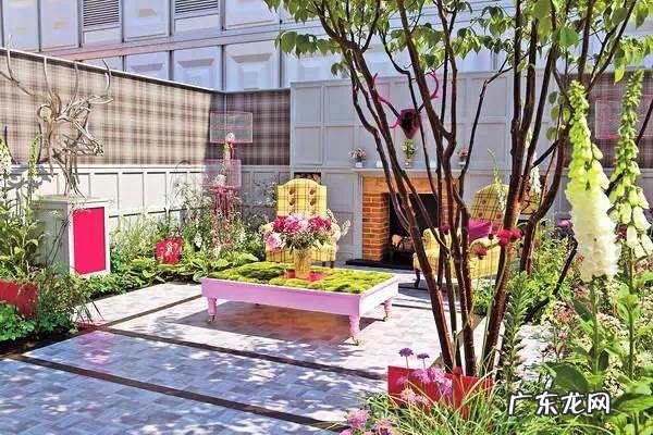 windy单词怎么读 cloudy bay