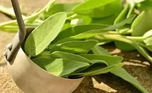 生活知识小百科 生活百科小常识有什么内容