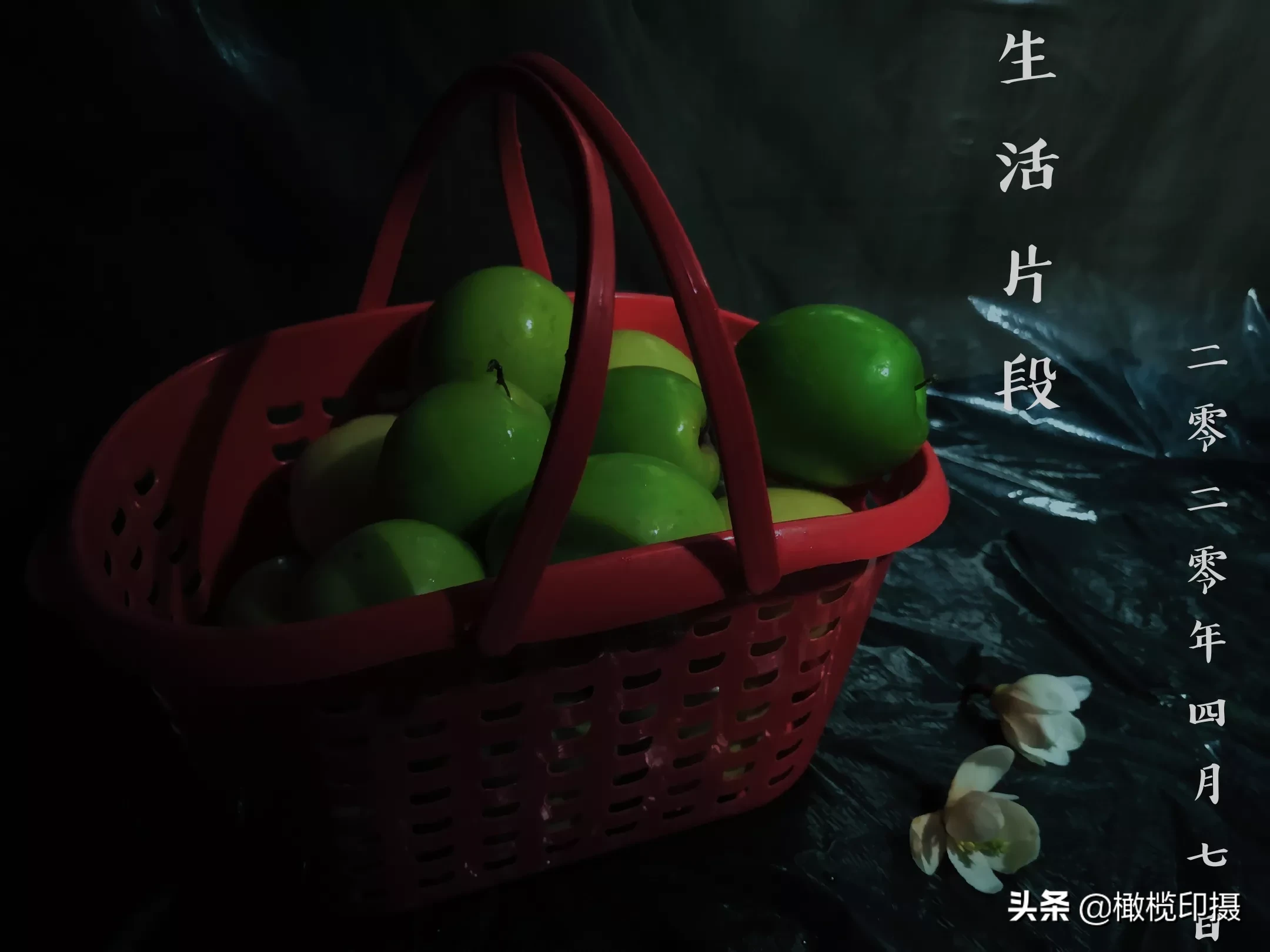 怎样拍好野兰花?