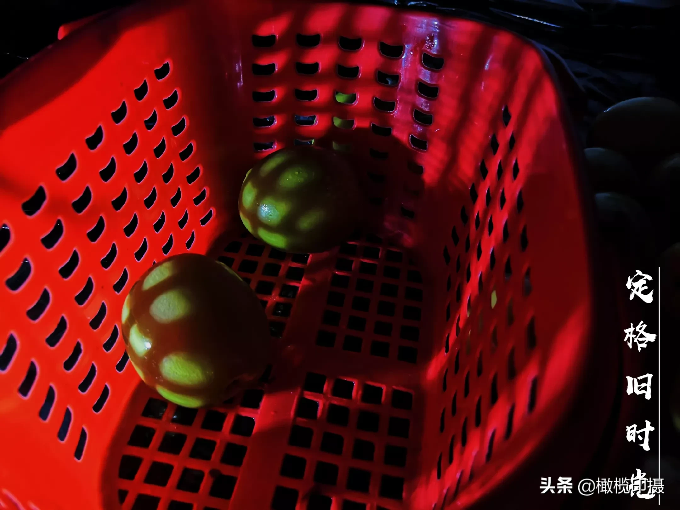 怎样拍好野兰花?