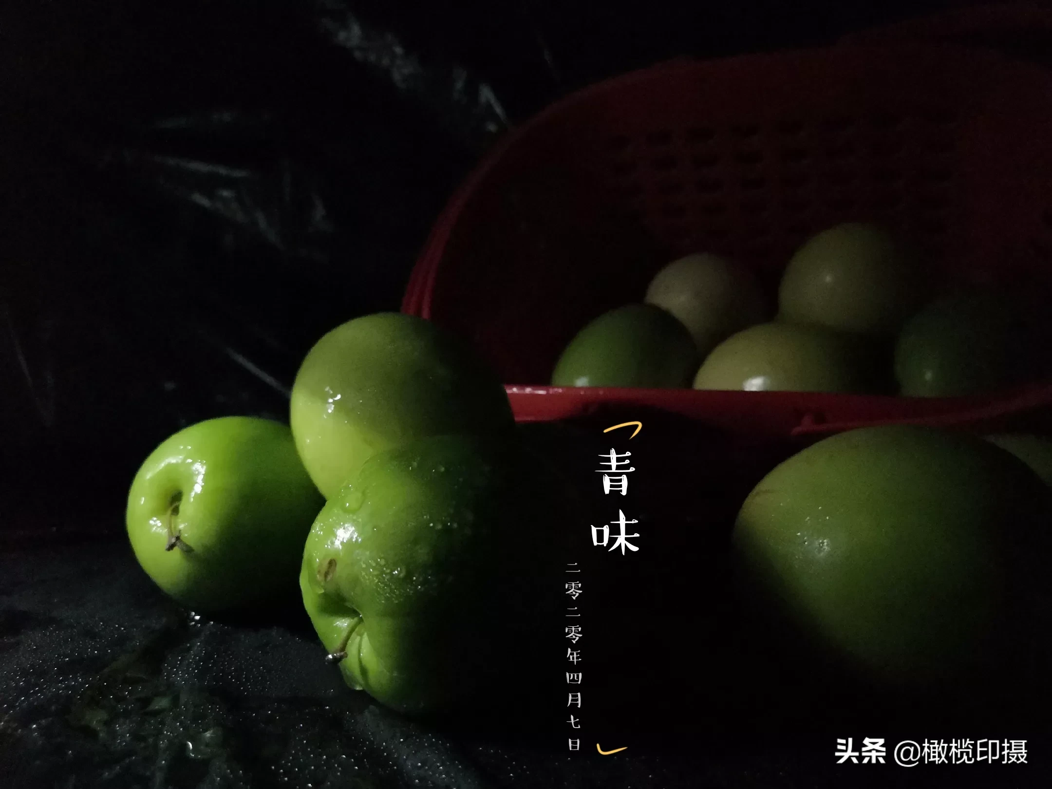 怎样拍好野兰花?