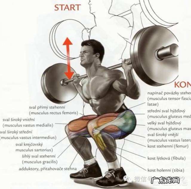 有一定的身体基础，初进健身房该如何制定新手健身计划？