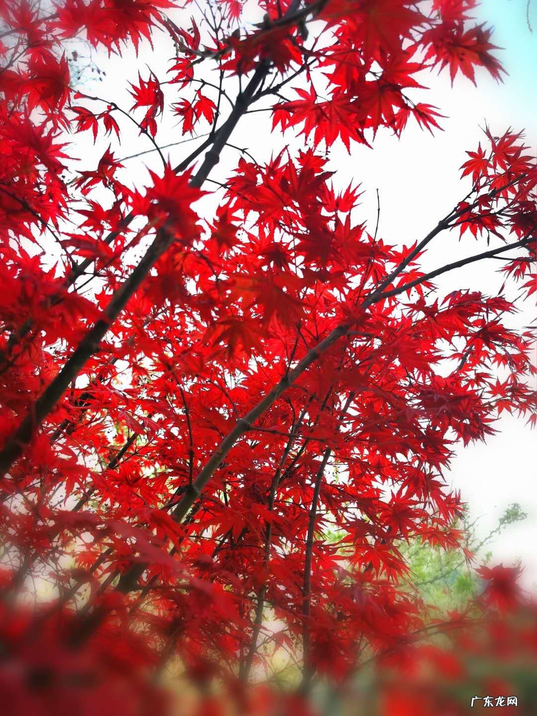 为什么有人说日常生活中把请和谢谢挂在嘴边的人必不可深交?