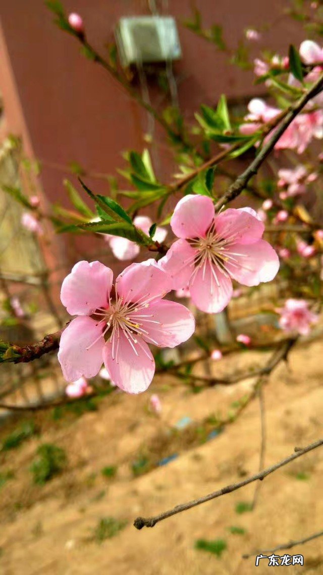 为什么有人说日常生活中把请和谢谢挂在嘴边的人必不可深交?