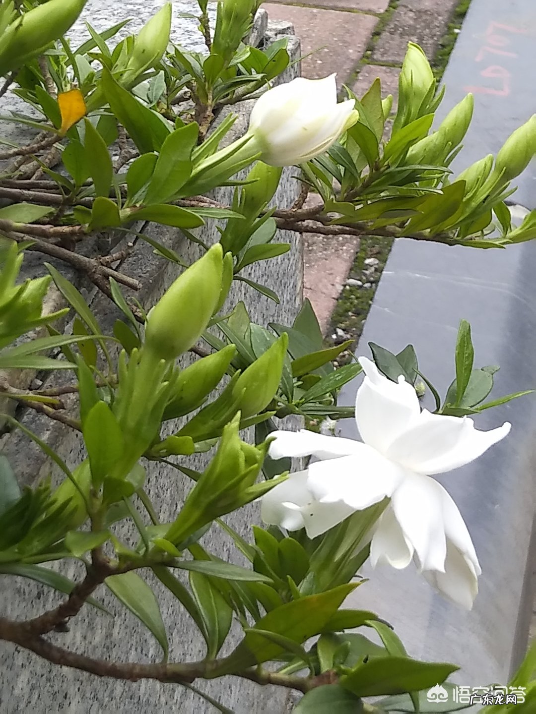 最怀念校园里的哪个角落,有怎样的故事?