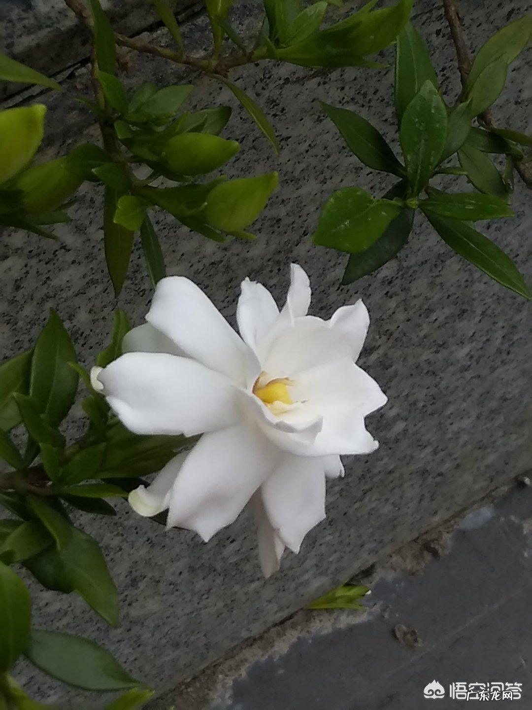 最怀念校园里的哪个角落,有怎样的故事?