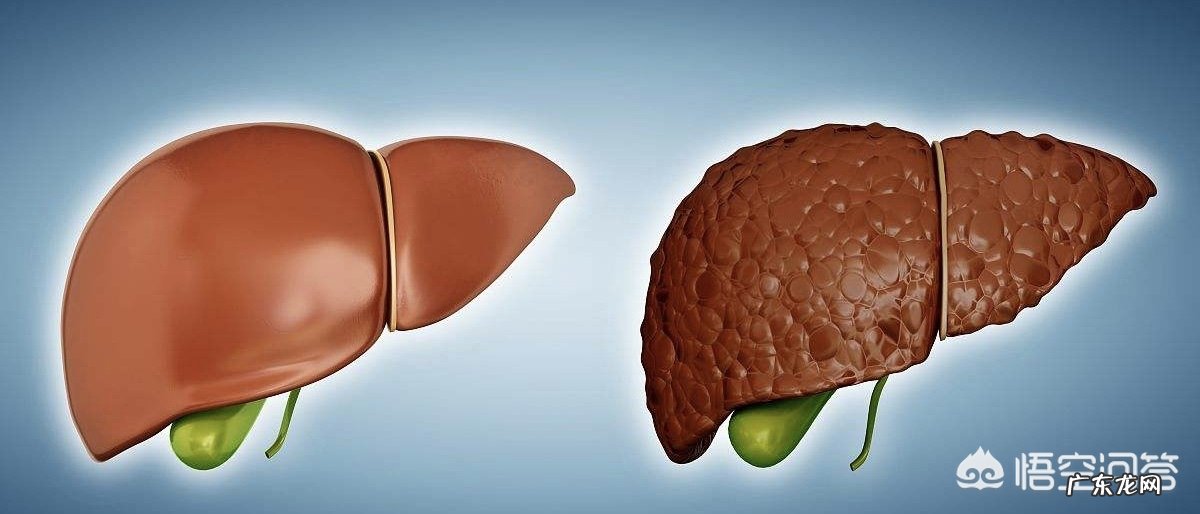 如何健康而正确的饮酒?