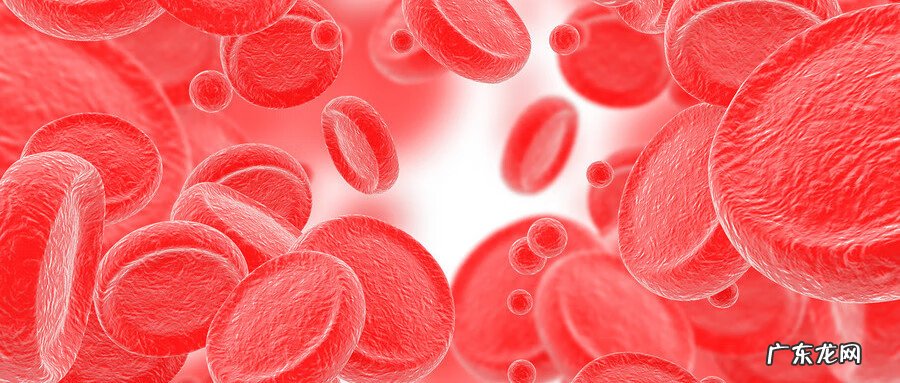 全血检查 血常规检查项目