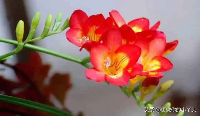 怎样才能忘掉过去的伤痛?