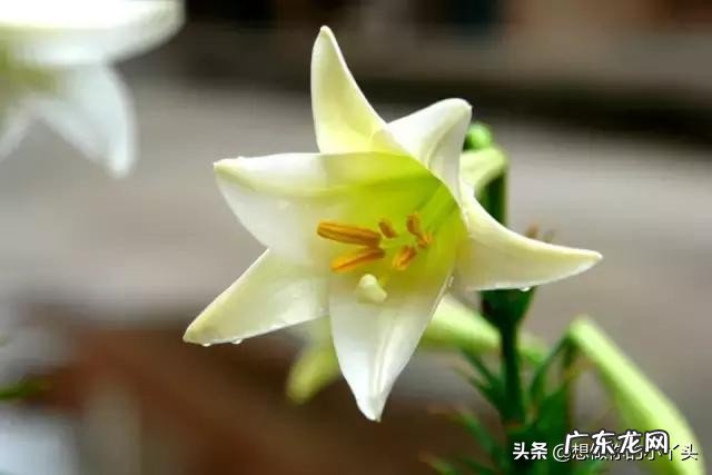 怎样才能忘掉过去的伤痛?