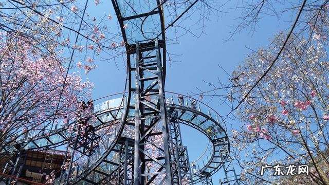 广东药王谷 药王谷景区门票多少钱