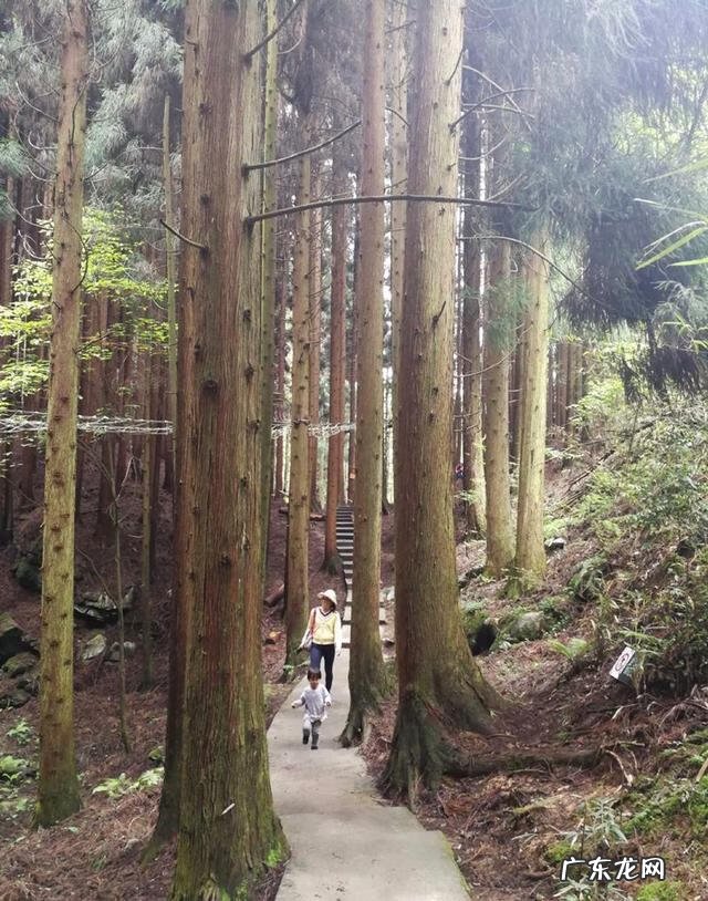 广东药王谷 药王谷景区门票多少钱