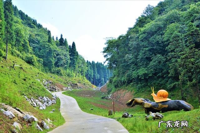 广东药王谷 药王谷景区门票多少钱