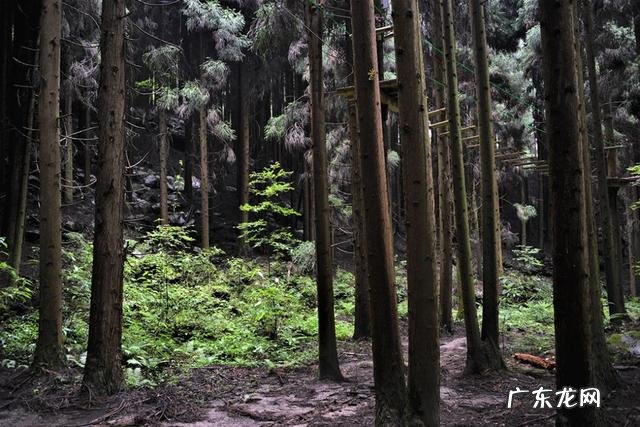 广东药王谷 药王谷景区门票多少钱