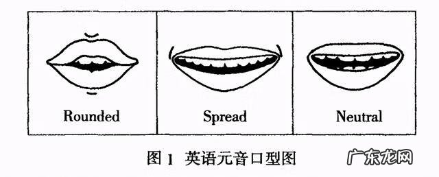 英语语音学习系统 英语语音学习