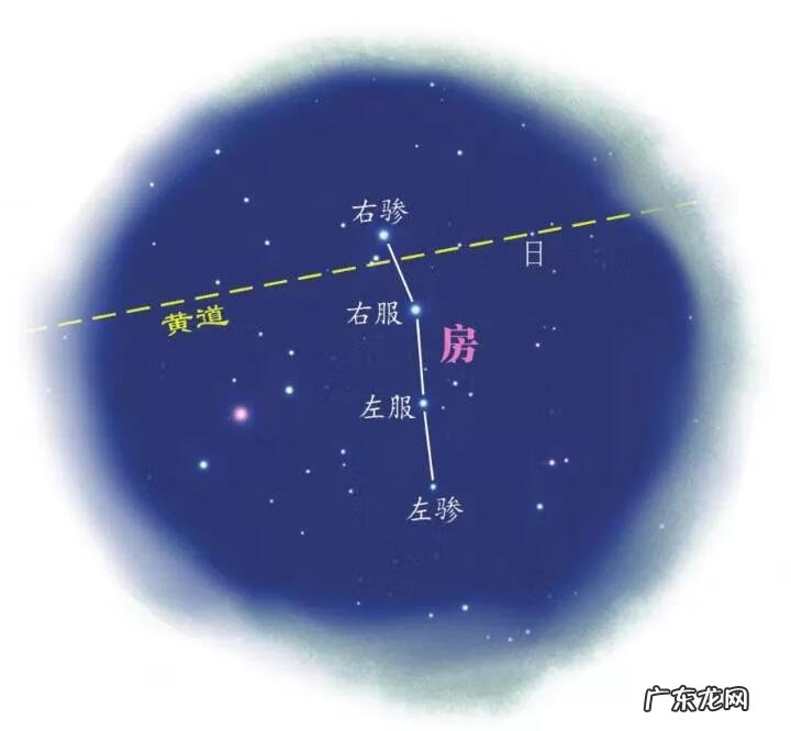 明堂是蝎子形风水好吗