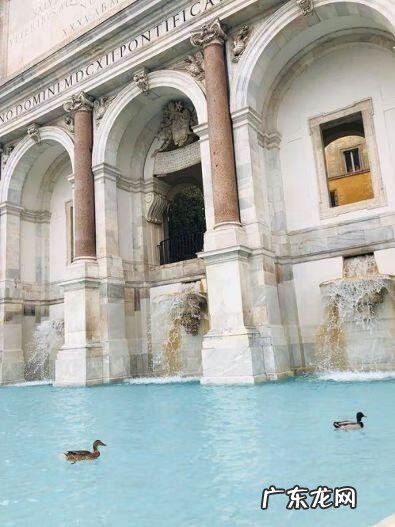 iwillsurvive现场版 iwillsurvive什么意思