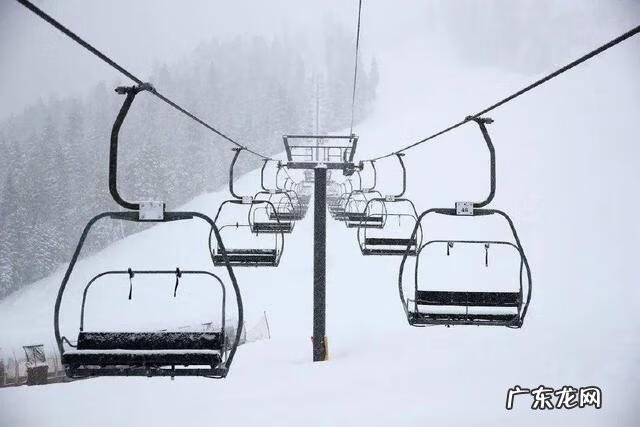 iwillsurvive现场版 iwillsurvive什么意思