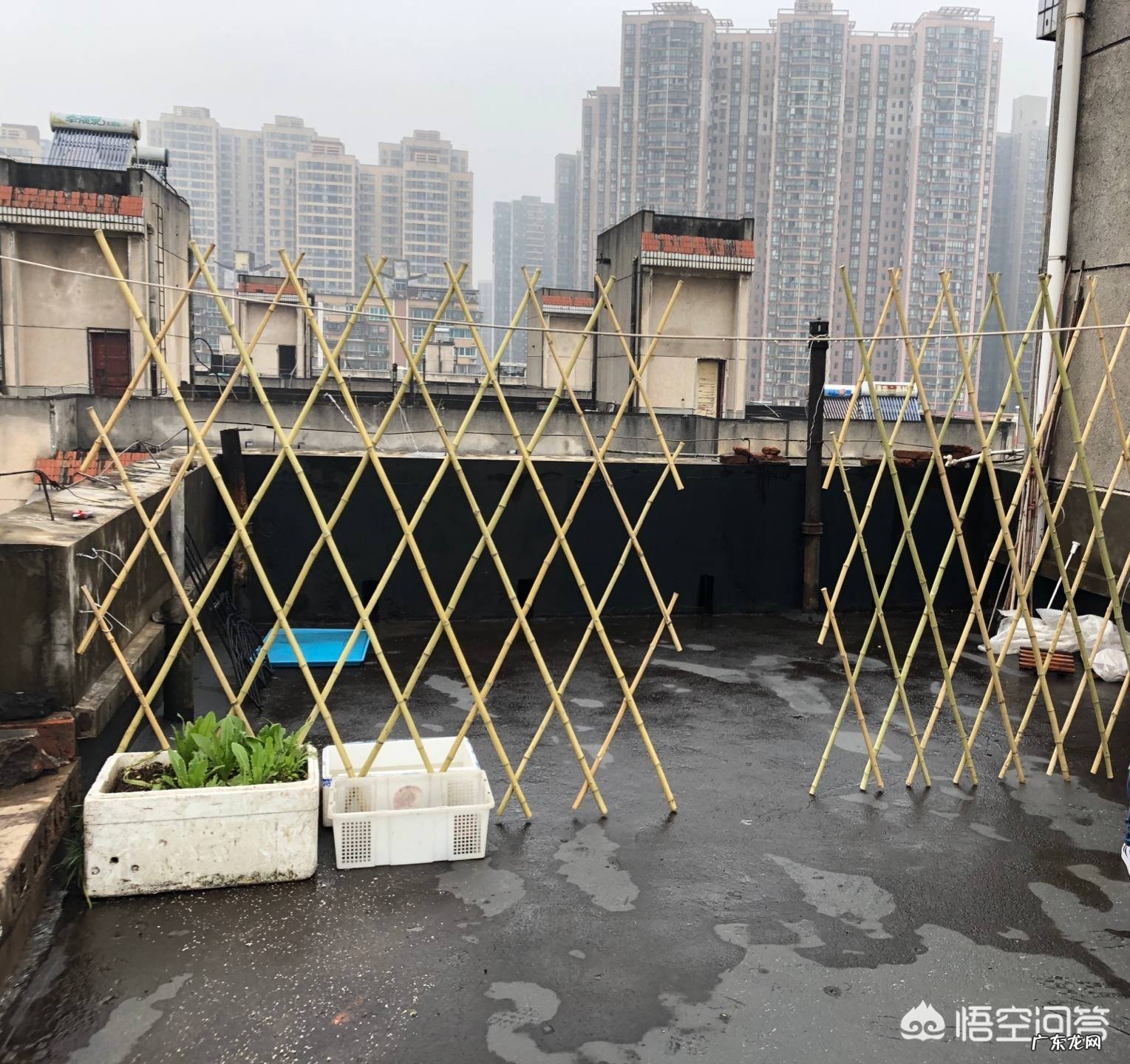 怎么利用没有封闭的阳台种蔬菜?